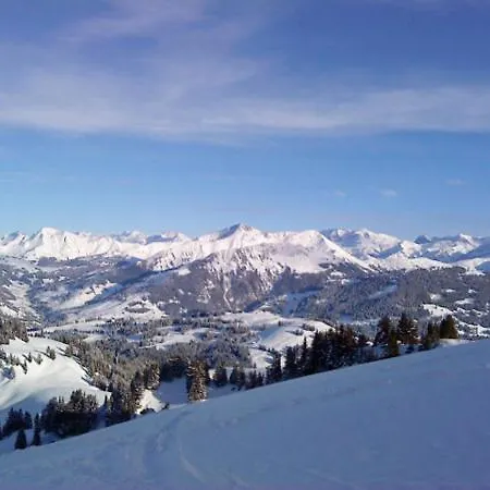 Saanerhof Gstaad