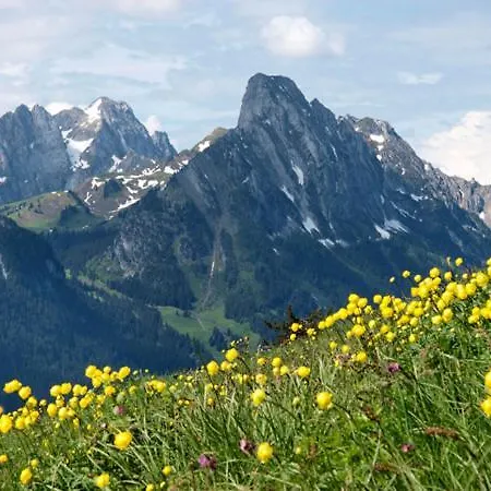 Saanerhof Bed & Breakfast 3*
